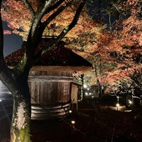 千寿閣 - お庭のライトアップ