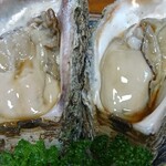 新よし - 生牡蠣
