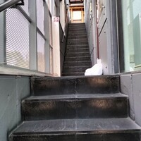 いわ志 本店 - 
