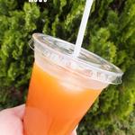 スカイウォーク - 人参酵素ジュース