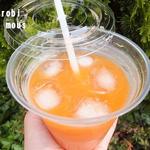 スカイウォーク - 人参酵素ジュース