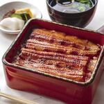 Unagi Hashimoto - 