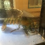 ブルーモーメント - 