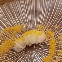 鶫 - 
