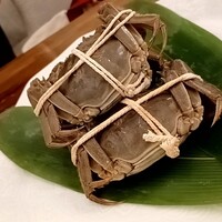 鶫 - 