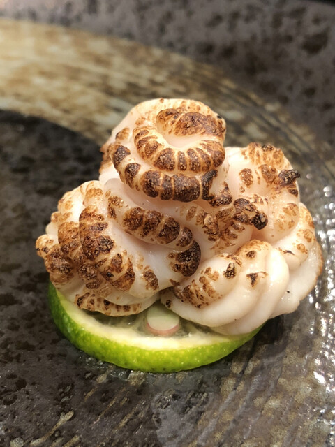 すし屋 こう大 - 小樽（寿司）の写真