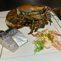 名駅 鉄板焼き 森本Ｘ Premium - 