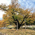 金沢地酒蔵 - 兼六園
※お店の内容とは関係ありません。