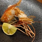 名駅 鮨 Sublime - にぼたんえび