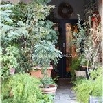 バンチオブピオニース - 