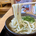 こがね製麺所 - ちょっと状態がギリギリぽい。