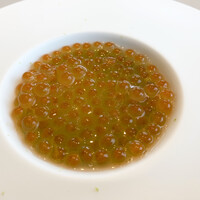 SEZANNE - 