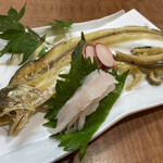 さつま珍味 隆盛 - 