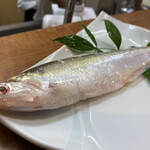 さつま珍味 隆盛 - 