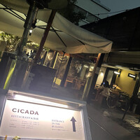 CICADA - 