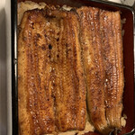 鰻割烹 伊豆栄 本店 - 