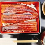 Unagi Saitaniya - 