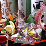 經典!竹莢魚的姿造刺身880日元+稅
