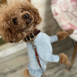 サッカバッカ - 入口の椅子で・・・