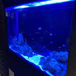 焔立つ肉寿司と牛タンタワー 肉処 双葉 三宮 - 