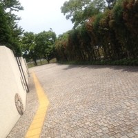マンジャーレ ウォーターエッジ YOKOHAMA - 