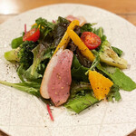 鴨ときどき馬 - 