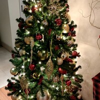 ポム・ダダン - 