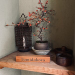 Tomidokoro - 