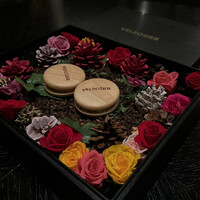 VELROSIER - 