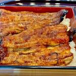 Unagi Ichifuji - 