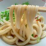 Ikeuchi Udon Ten - 