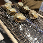 浜焼酒場 トロハチ - 