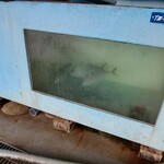 活魚料理 びんび家 - 生け簀