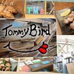 Tommy Bird - 