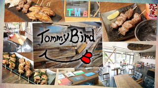 Tommy Bird - 