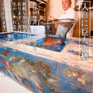 朝採れたての鮮魚や巨大水槽の魚を