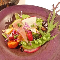 Hirovanna - 愛知産三十種のサラダ