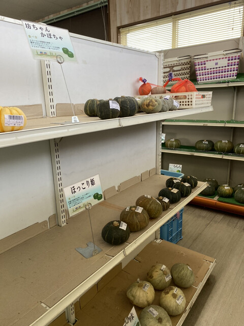 グリーンヒル905（グリーンヒルキュウマルゴ） - 網走（その他）の写真