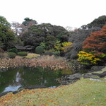 Yurinoki - 日本庭園