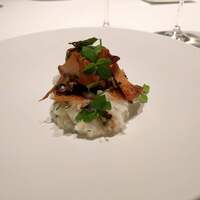 カンテサンス - 