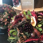 Nicolai Bergmann NOMU - 