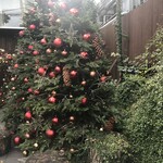 Nicolai Bergmann NOMU - 