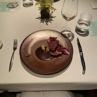 Wattle Tokyo -  Wattle Tokyo -