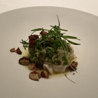 カンテサンス - 