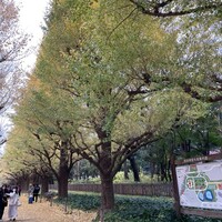 キハチ 青山本店 - 