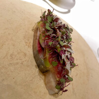 アニエルドール - 