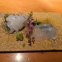 乙女寿司 - 赤イカとヒラメ