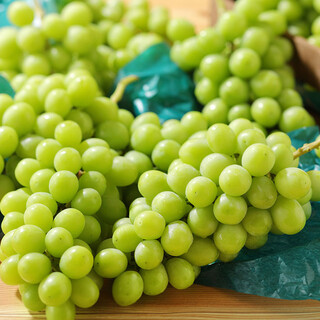 イーエックスガーデンカフェ_1