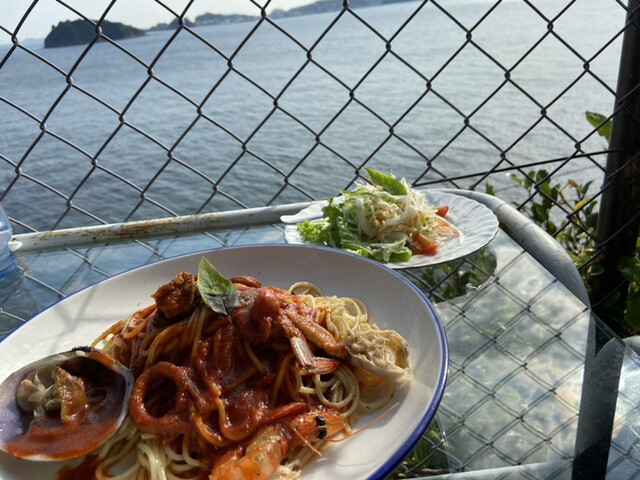 ぷるるんマリン　シーラカンス　ヒモ引っ張りブルブル　綺麗目 ぷるるんマリンシーラカンスヒモ引っ張りブルブル綺麗目