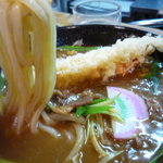 Kagawa Udon - 